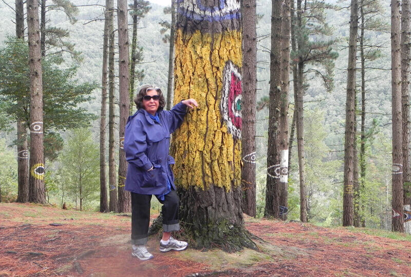 Anamelia Bueno Buoro professora história da arte