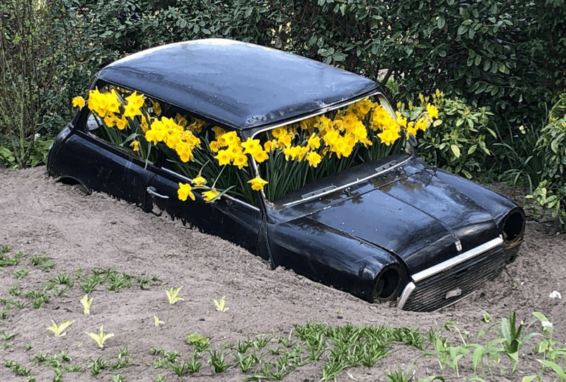 parque Keukenhof Holanda Europa