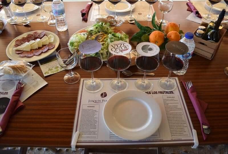 vinicola sul da espanha