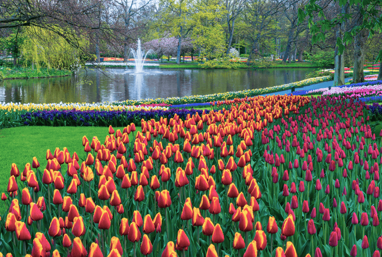 destino dos sonhos Keukenhof holanda