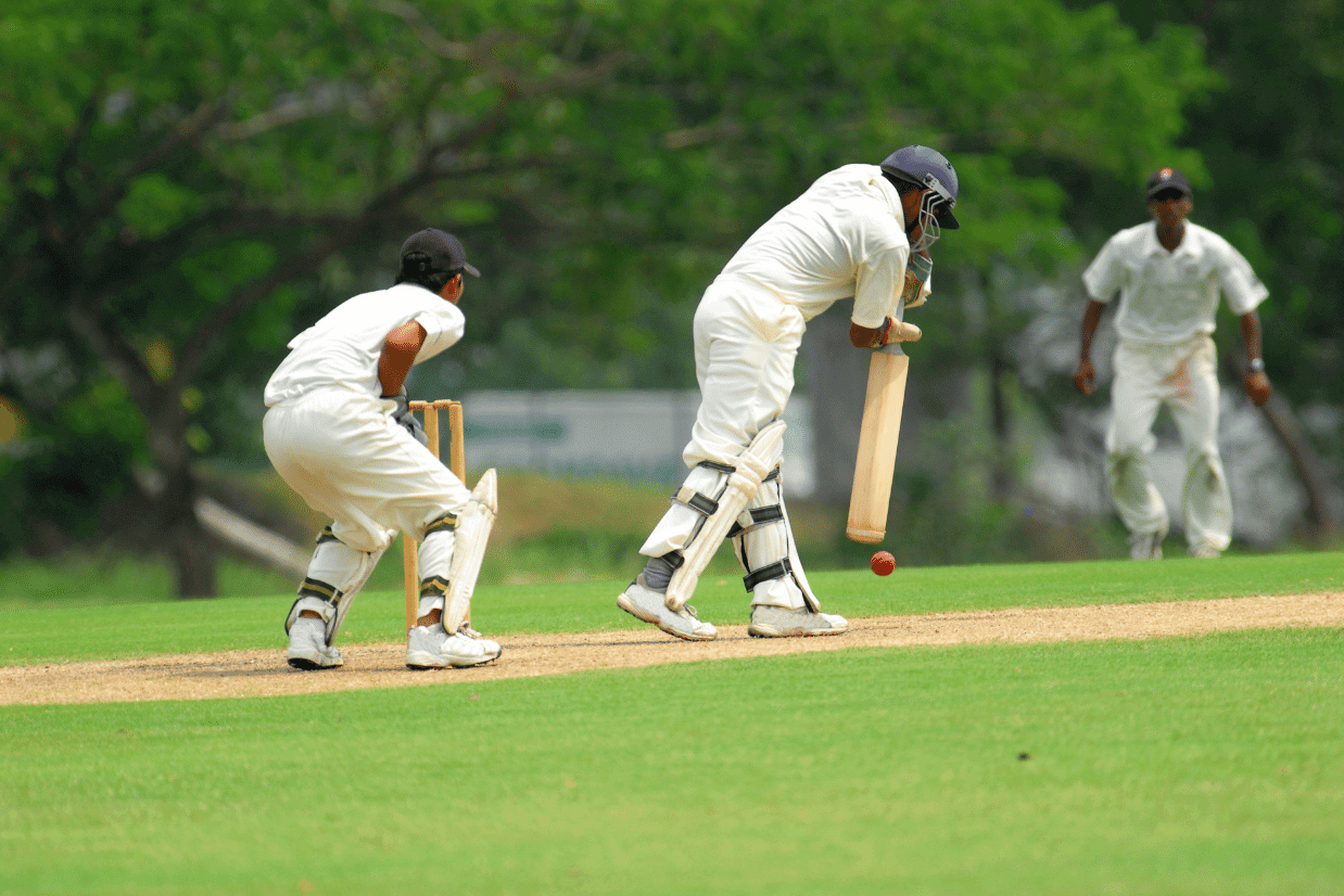 cricket esporte áfrica do sul