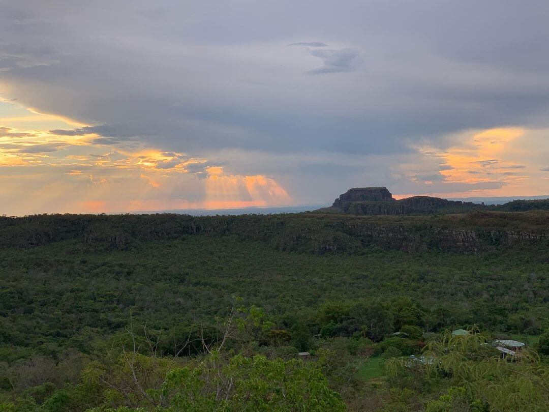 pantanal