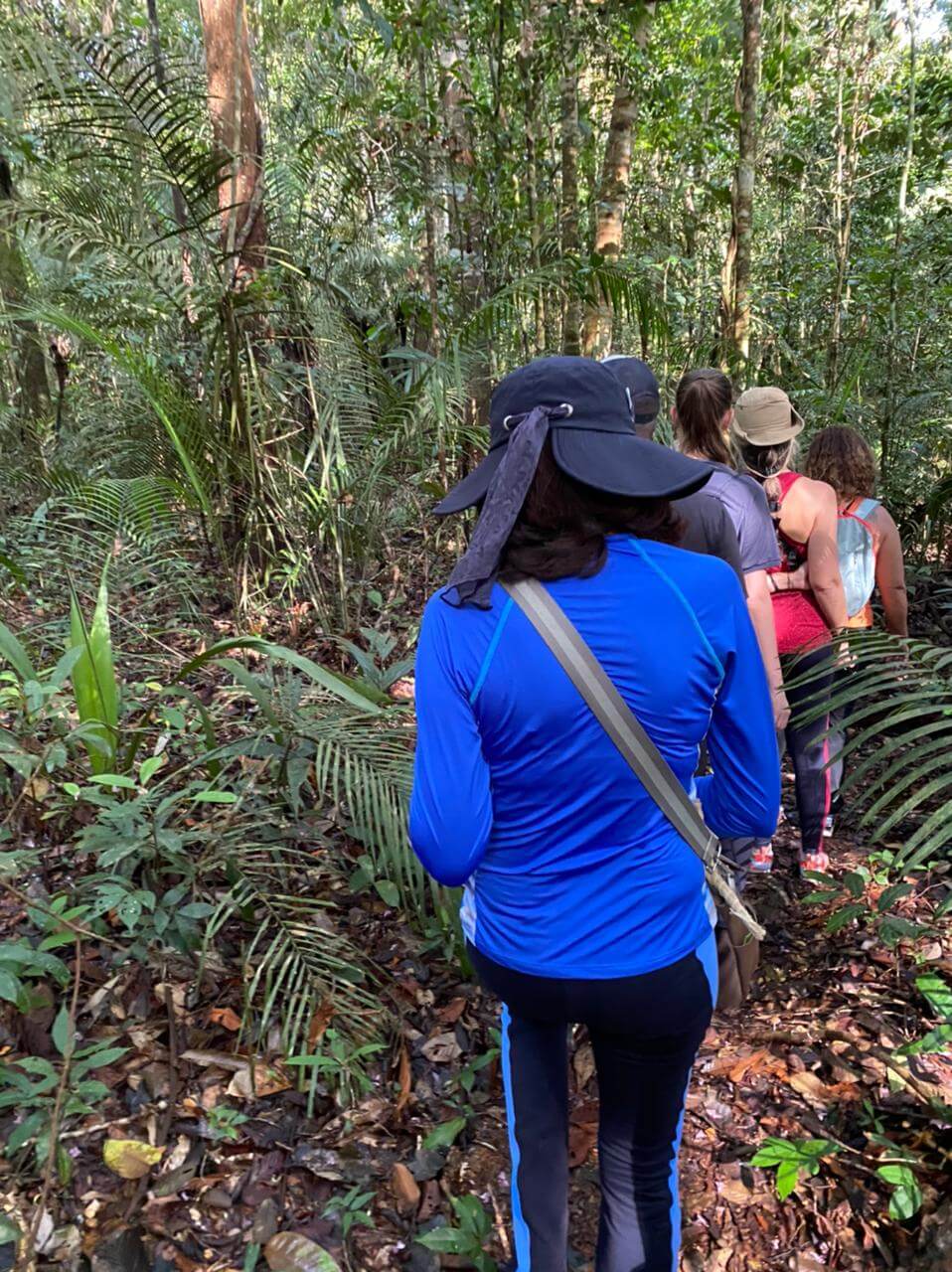 cruzeiro amazônia