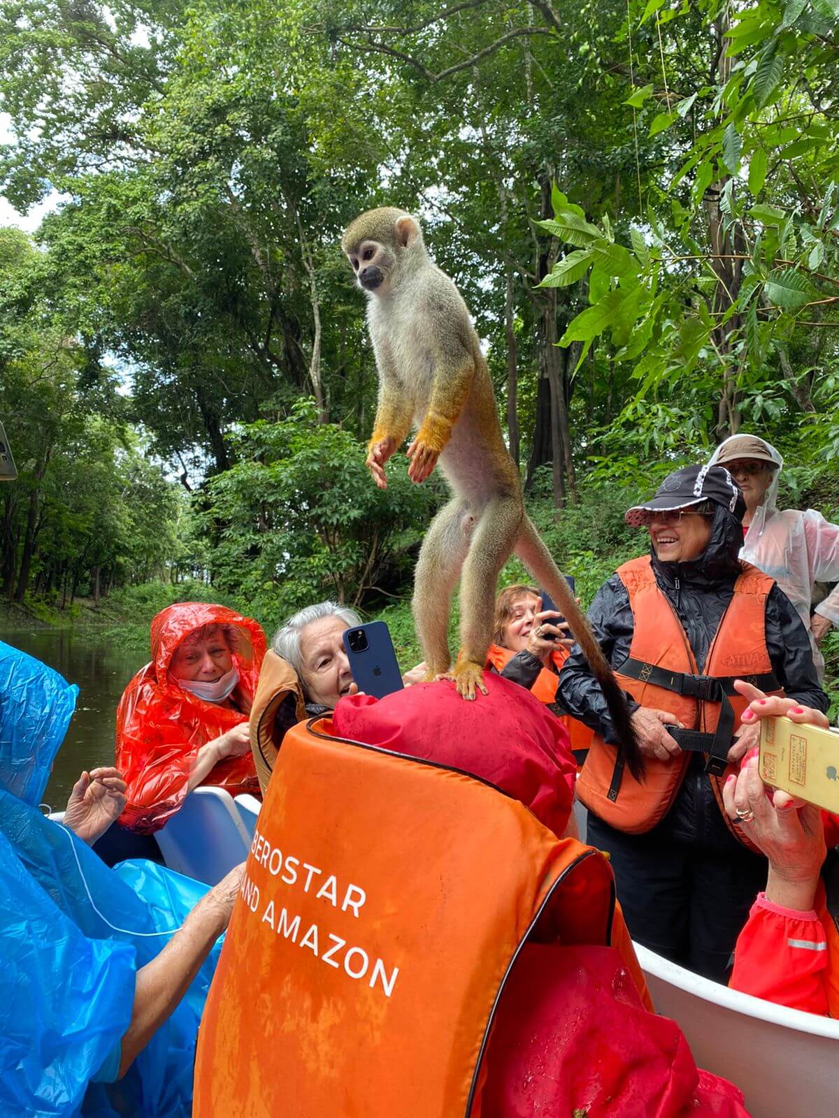floresta amazônica