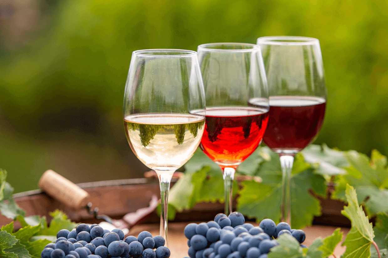 vinhos bordeaux frança