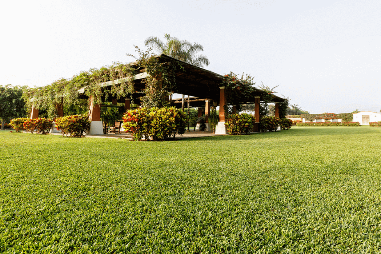 Hacienda Los Ficus
