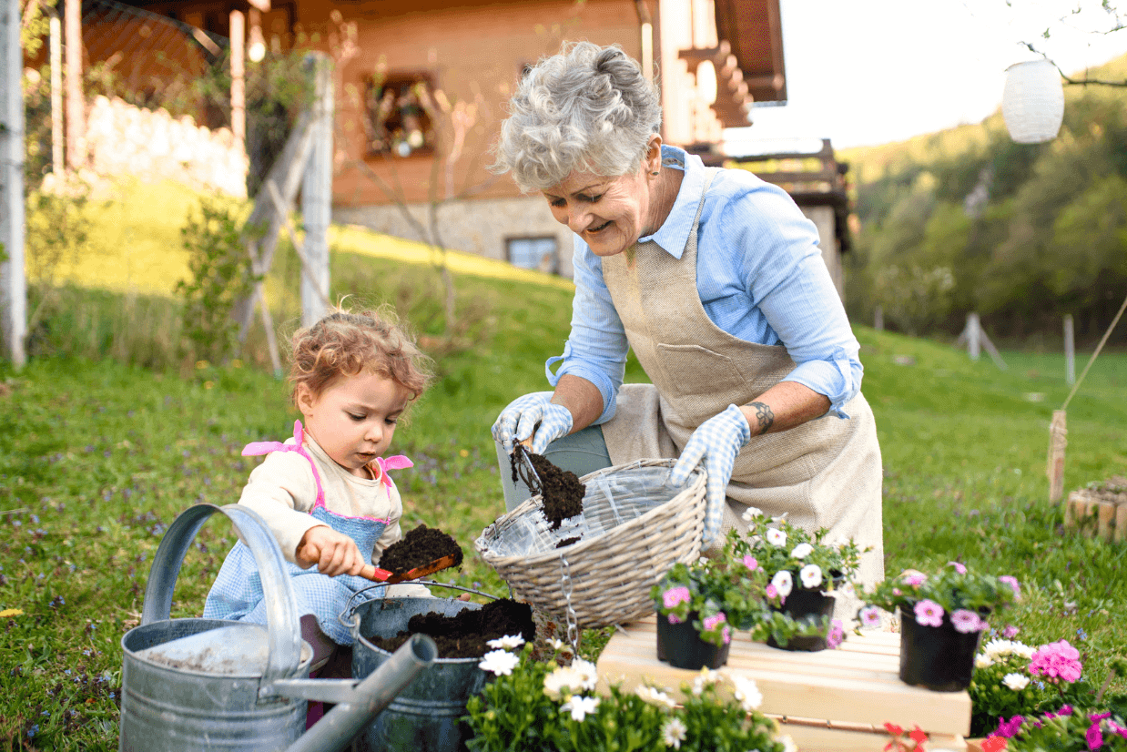 jardinagem terceira idade