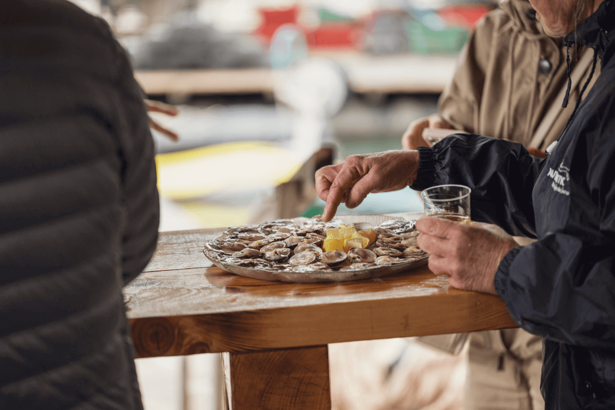 degustação ostras Rovinj Croácia